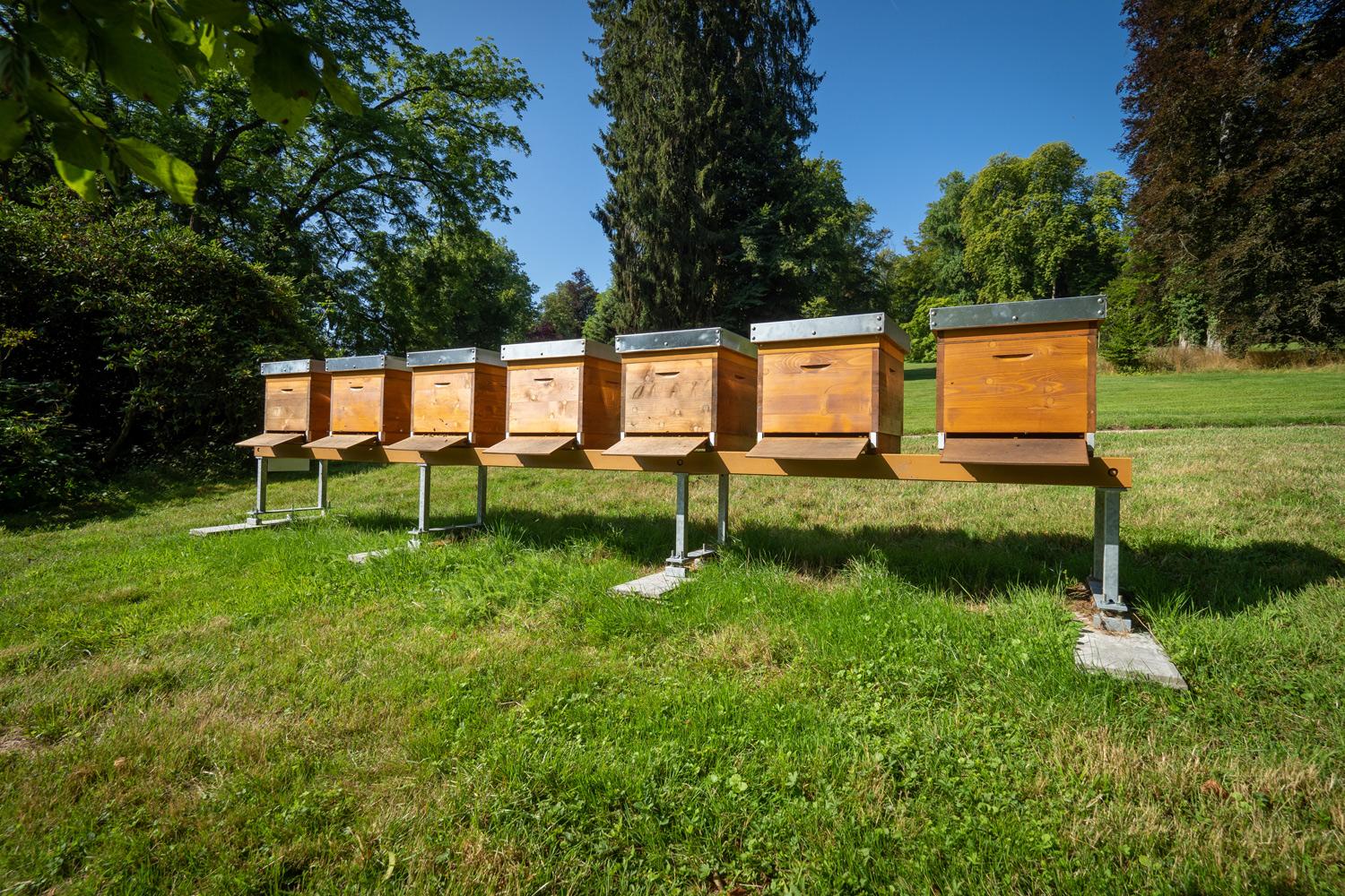 Les Jardins pendant le mois d’août 2019 - Château de Berg