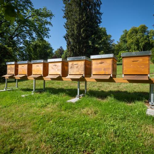 Les Jardins pendant le mois d’août 2019 - Château de Berg