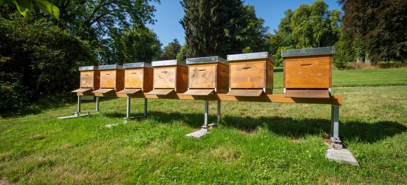 Les Jardins pendant le mois d’août 2019 - Château de Berg