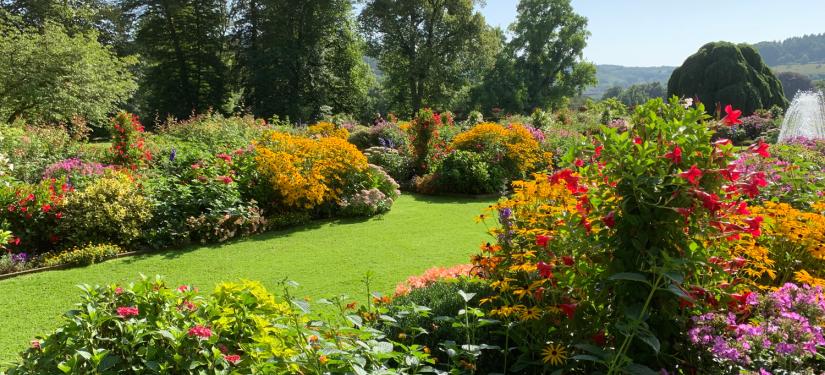 Les Jardins pendant le mois d’août 2019 - Château de Berg